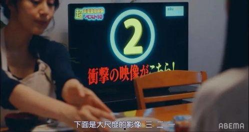 bt 下载性教育无码,BT下载无码资源深度解析