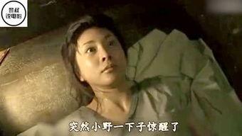 国外av网站 黎叔,黎叔视角下的行业洞察