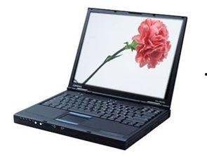 ap 353在线播放,深度解析在线播放的魅力与奥秘