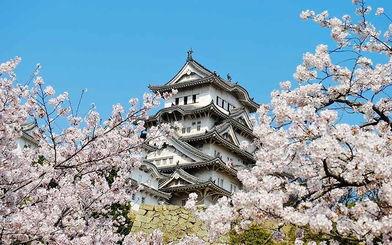 日本好看的图,邂逅东方画卷中的绝色风光