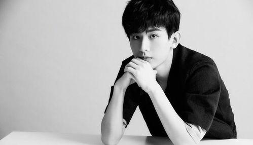 成毅黑粉爆料视频,真相与谣言的交织