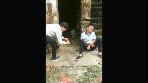 二货视频,欢乐搞笑，笑出腹肌的瞬间回顾