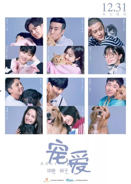 元旦av,AV盛宴回顾与展望