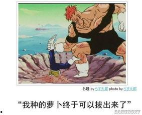 日本邪恶强占故事,揭开历史阴影下的血泪篇章