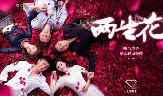 两生花西瓜视频免费观看