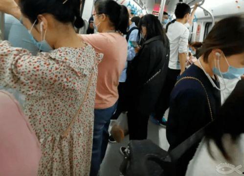 厦门爆料女孩视频大全,揭秘城市生活百态