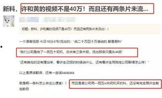 去报社爆料视频怎么说,记者勇敢曝光，报社爆料视频引发社会关注
