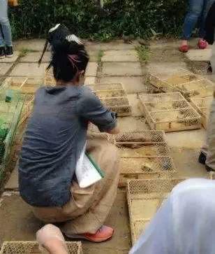 台湾明星放生,放生活动传递生态关怀