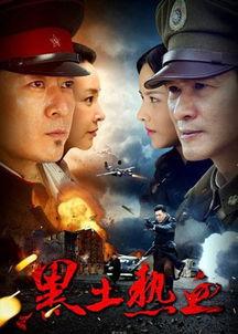 免费观看黑土热血全集,免费观看全剧，探寻民族精神的传承之路