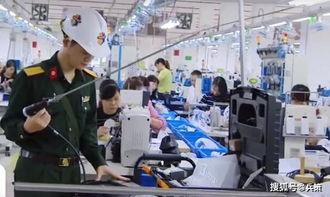 襄阳鞋厂最新爆料信息网,揭秘企业转型与发展新动向