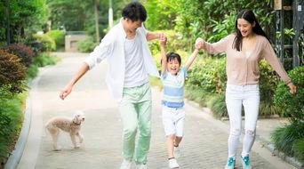 小孩子爆料父母视频,揭秘孩子视角下的父母日常视频