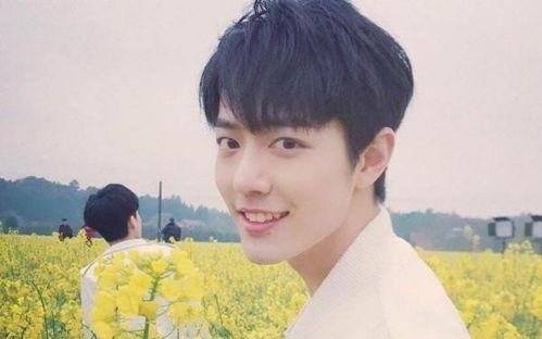 圈内爆料杨紫肖战的,圈内爆料引粉丝热议