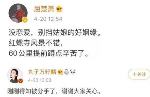 娱乐圈吃瓜爆料两个字,揭秘明星背后的故事